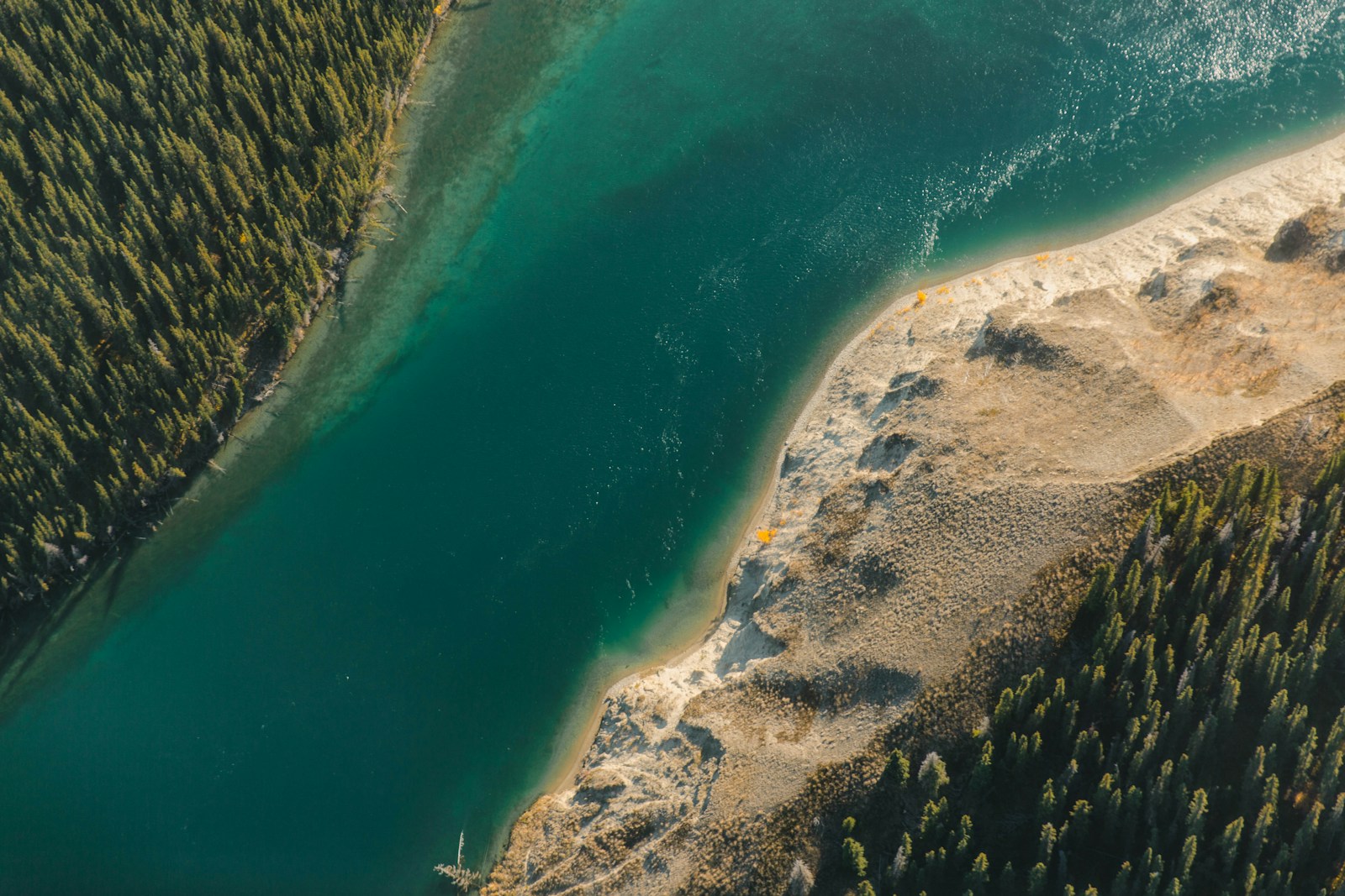 Northern Canadian forest, illustrative photo not a Tuscany facility